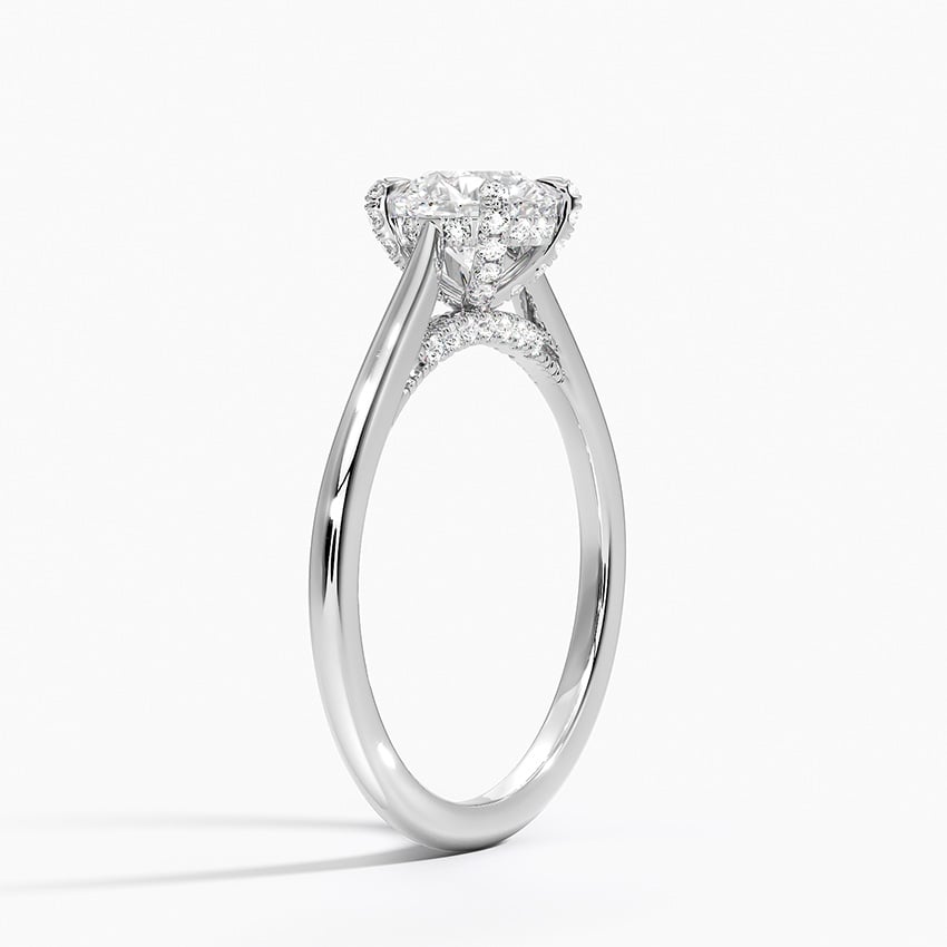 Adorned Dawn Diamond Ring - Brilliant Earth