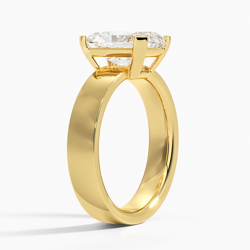 Parker Solitaire Ring - Brilliant Earth