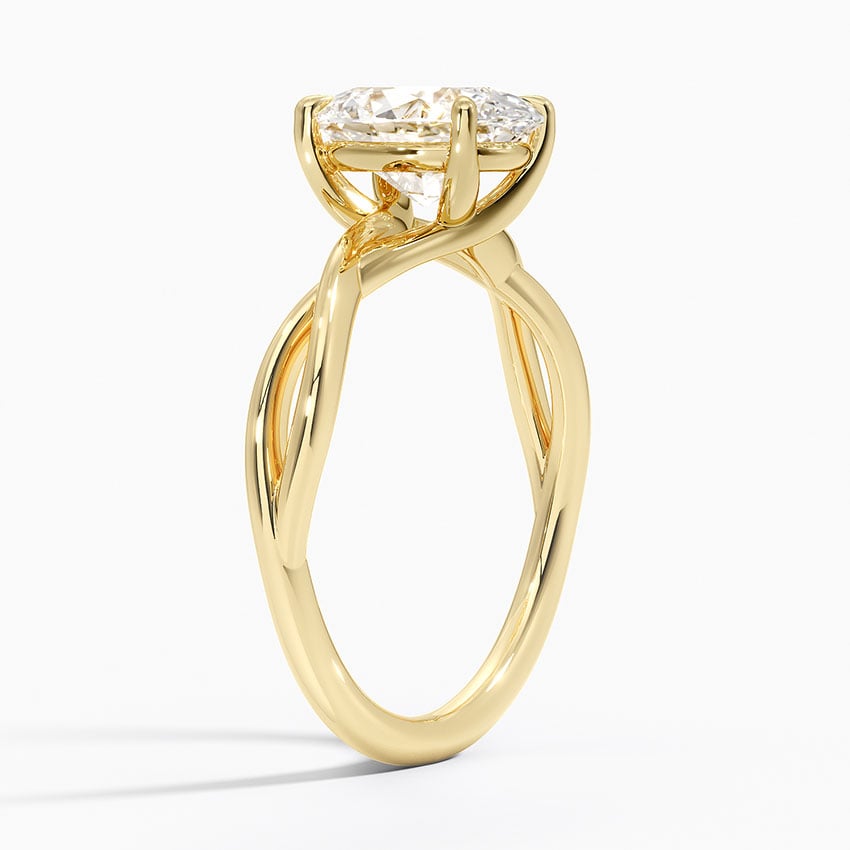 Alya Twist Solitaire Ring - Brilliant Earth