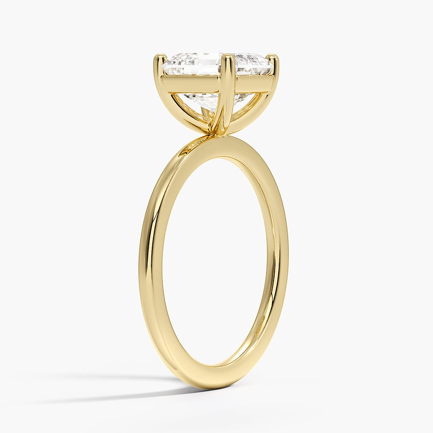 Flush Fit Solitaire Ring- Brilliant Earth