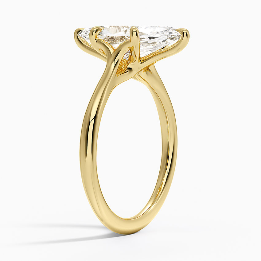 Freesia Cathedral Solitaire Engagement Ring in 18K Yellow Gold
