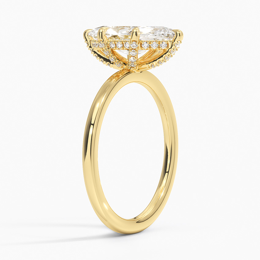 Surprise Diamond Engagement Ring Setting