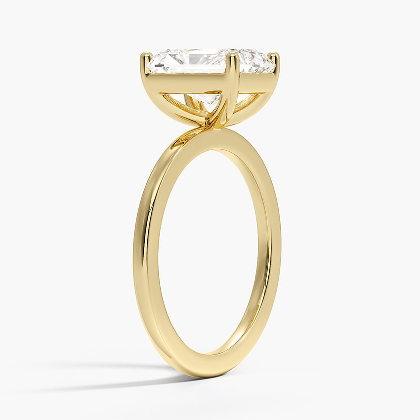 Flush Fit Solitaire Ring- Brilliant Earth