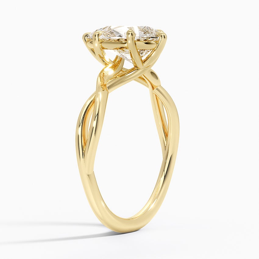 Alya Twist Solitaire Ring - Brilliant Earth