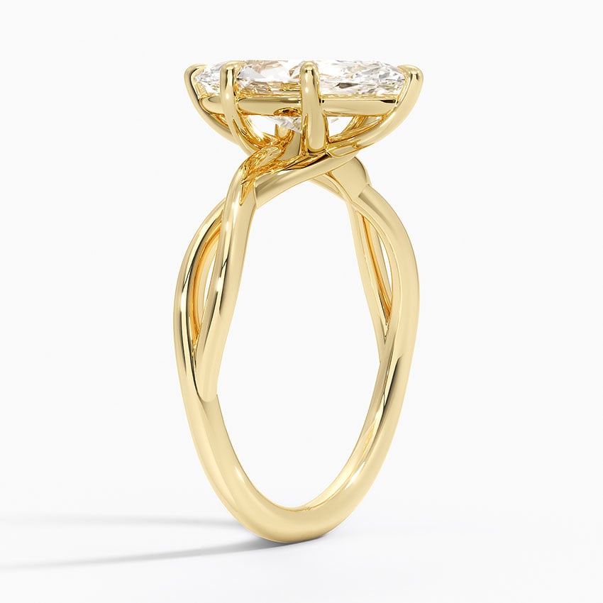 Alya Twist Solitaire Ring - Brilliant Earth