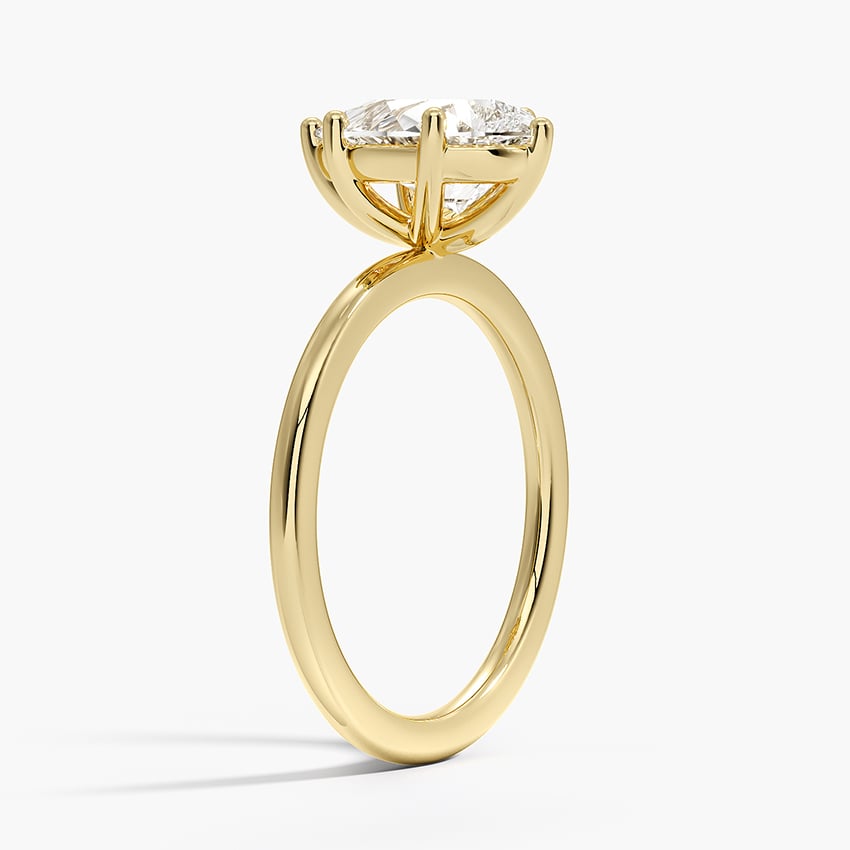 Flush Fit Solitaire Ring- Brilliant Earth