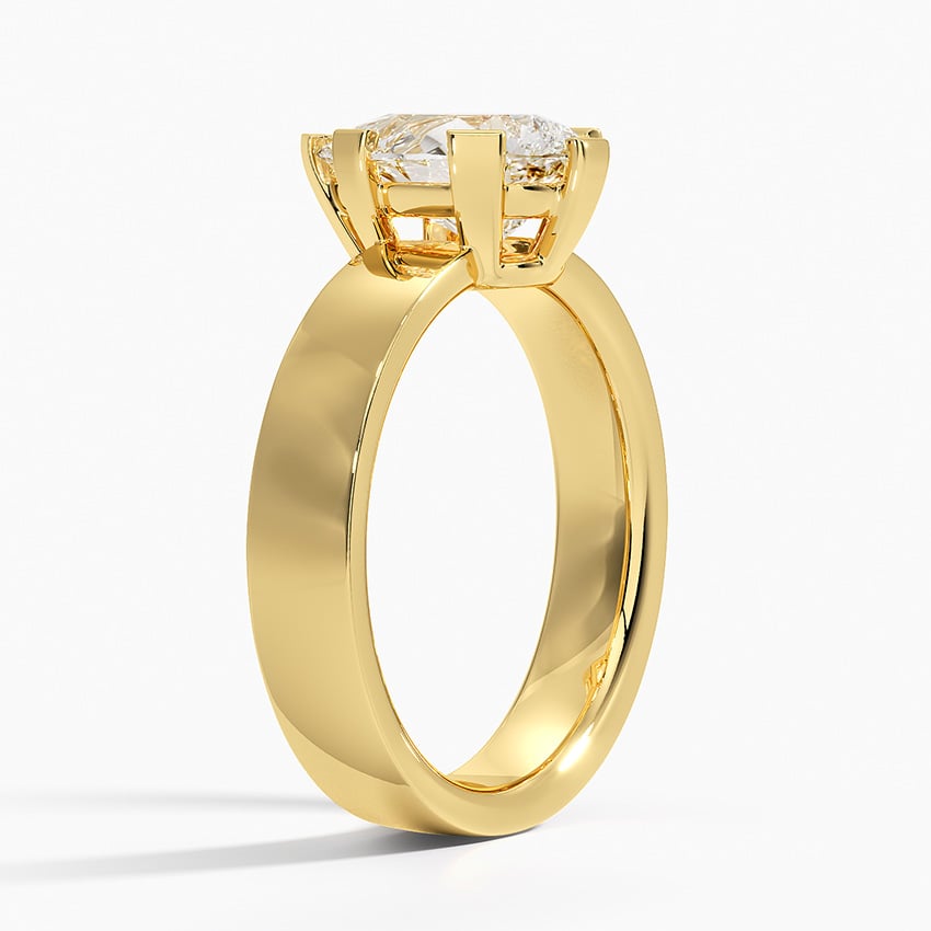 Parker Solitaire Ring - Brilliant Earth
