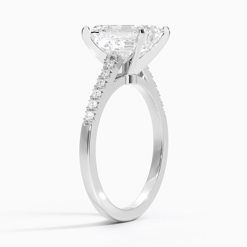 Cathedral Engagement Ring