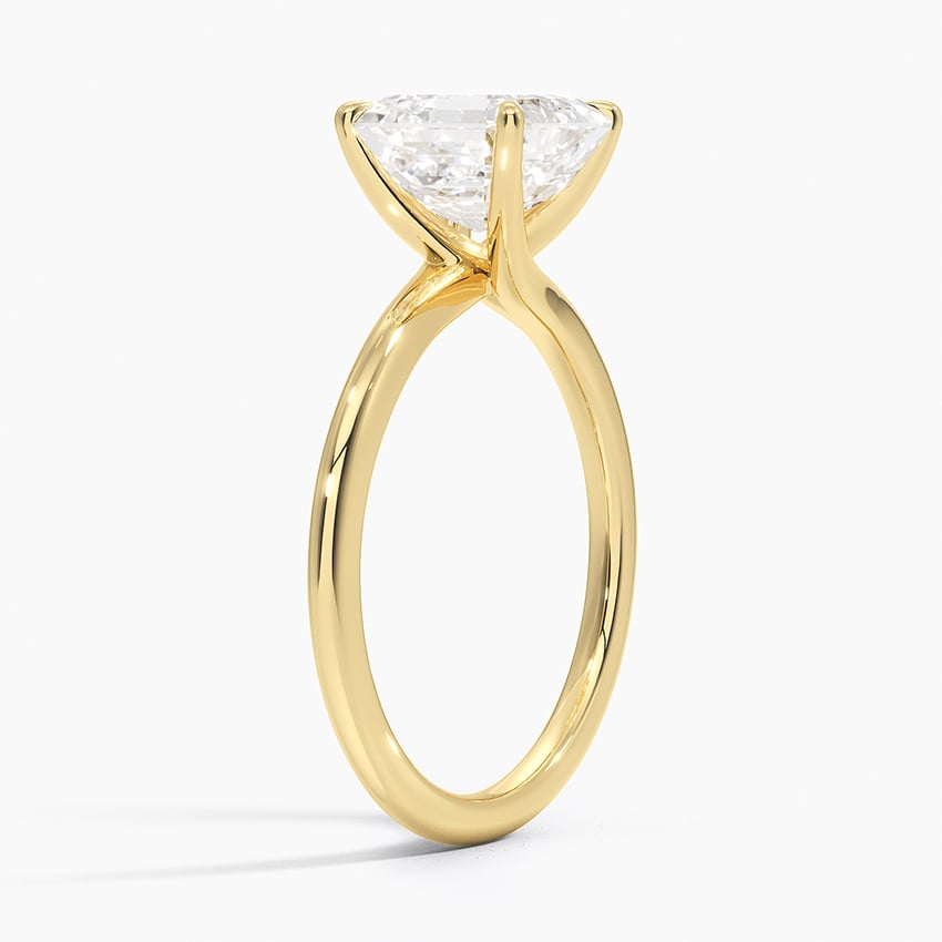 Monsella Solitaire Ring - Brilliant Earth
