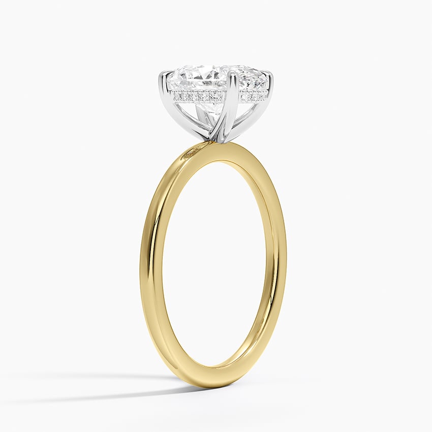 Platinum Adorned Mixed Metal Diamond Ring