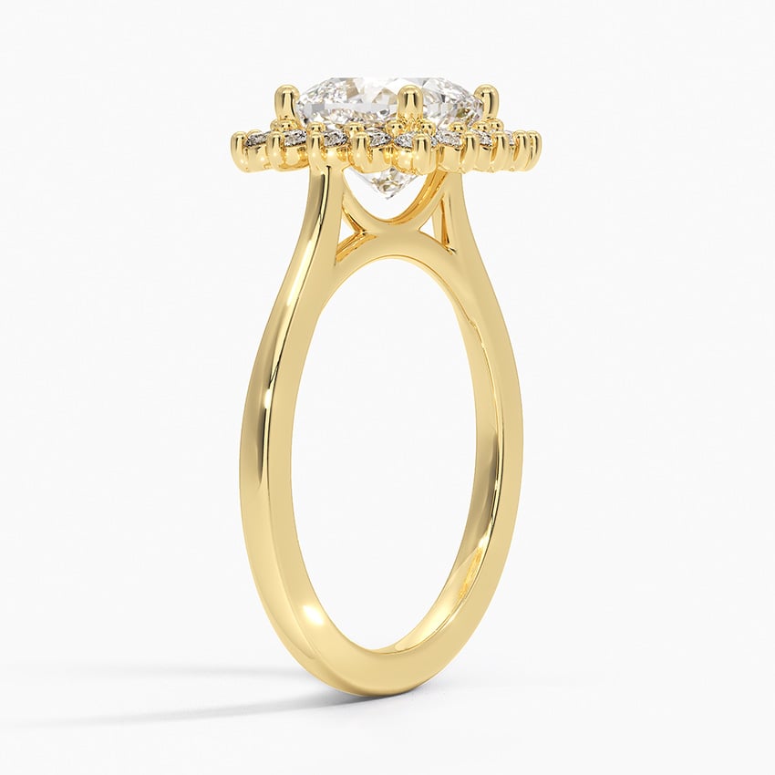 Sunburst Halo Engagement Ring - Brilliant Earth