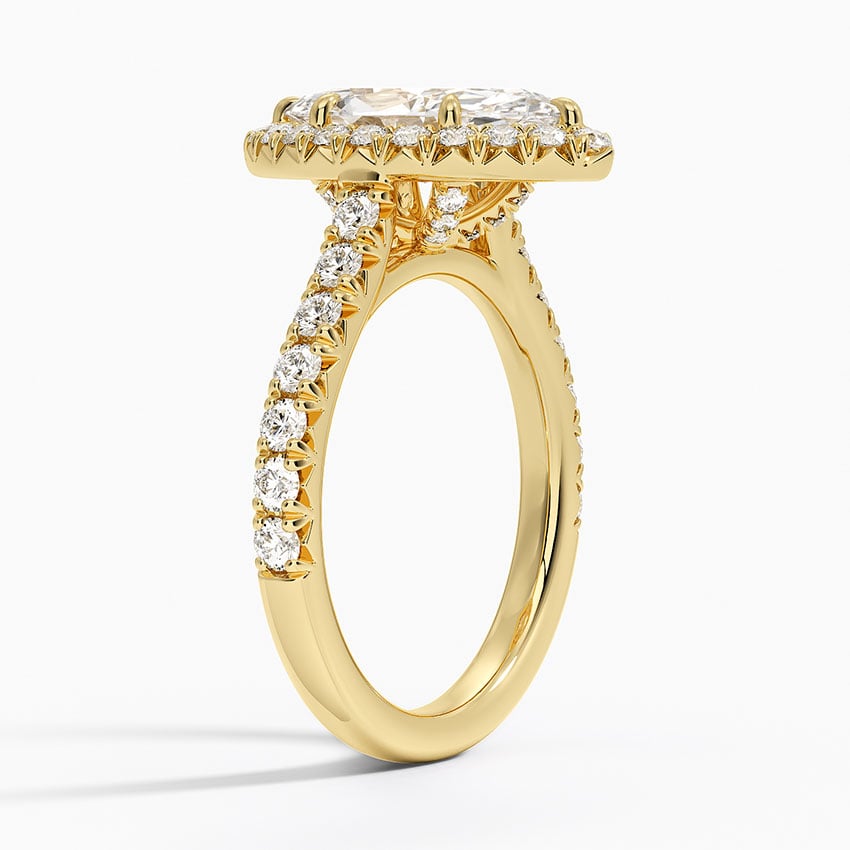 18K Yellow Gold Sienna Halo Half Coverage Diamond Ring