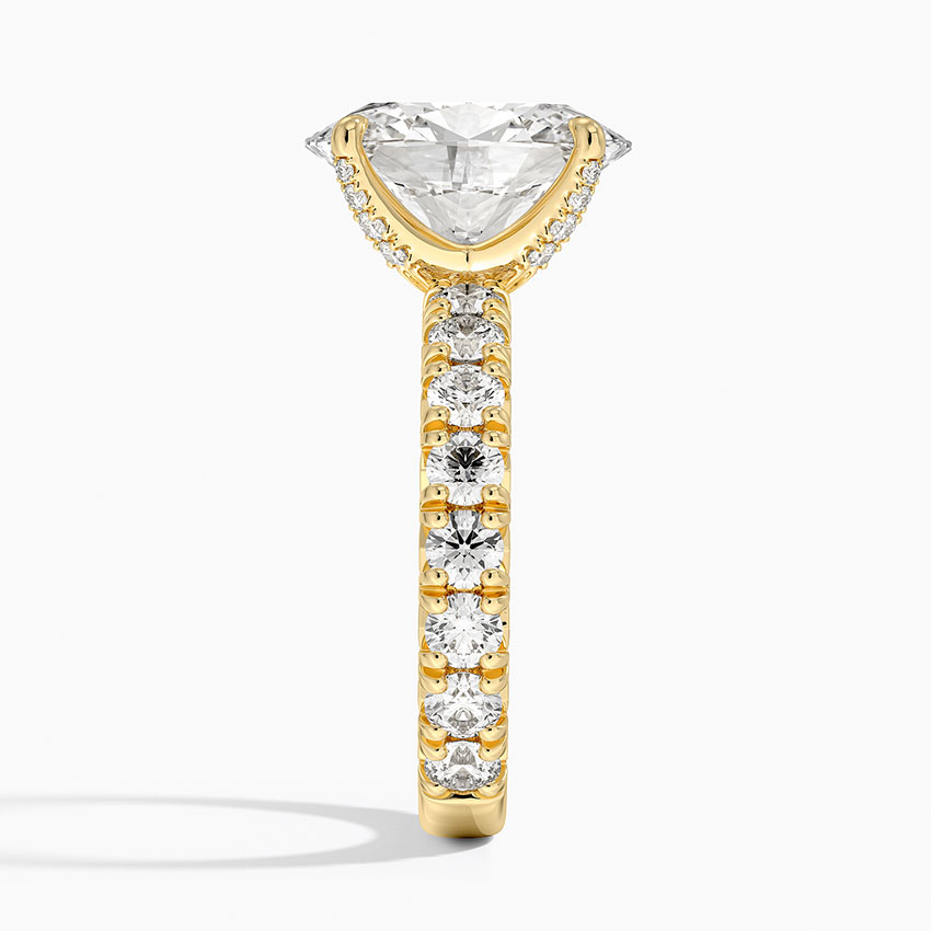 18K Yellow Gold Ellora Three-Quarter Coverage Diamond Ring
