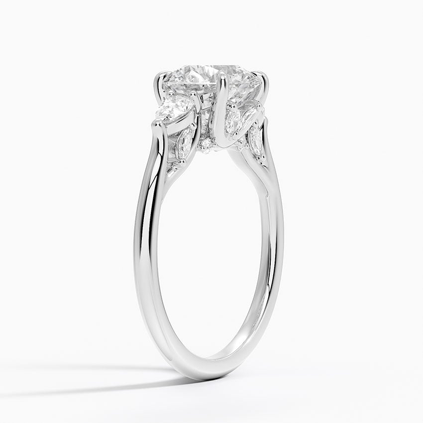 Platinum Secret Garden Gallery Three Stone Diamond Ring