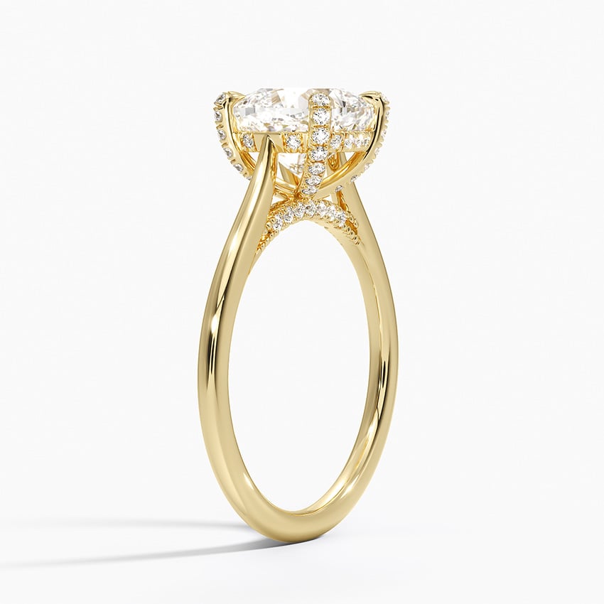 Adorned Dawn Diamond Ring - Brilliant Earth