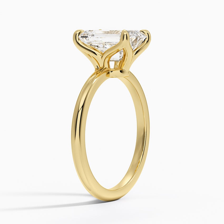 Elodie Solitaire Ring - Brilliant Earth
