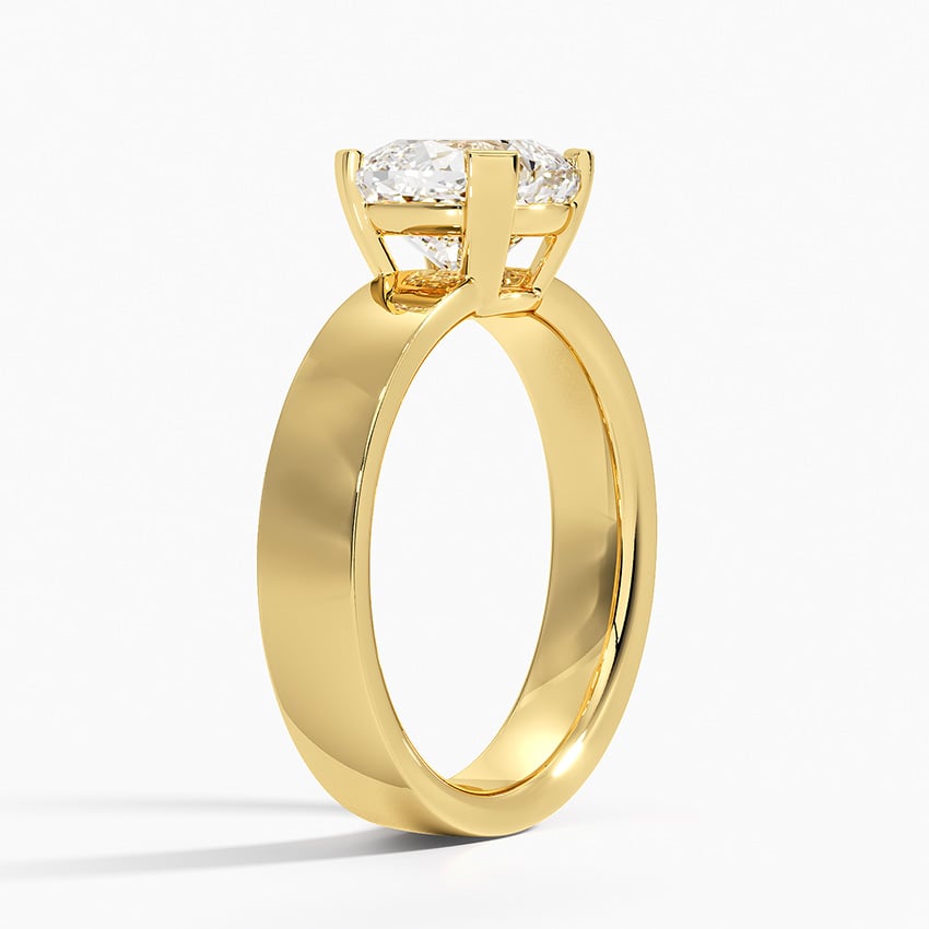 Parker Solitaire Ring - Brilliant Earth