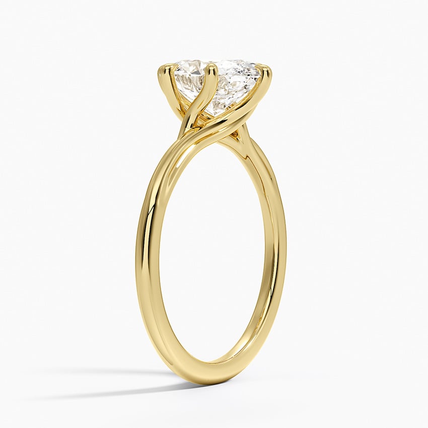 Delilah Twist Solitaire Ring - Brilliant Earth