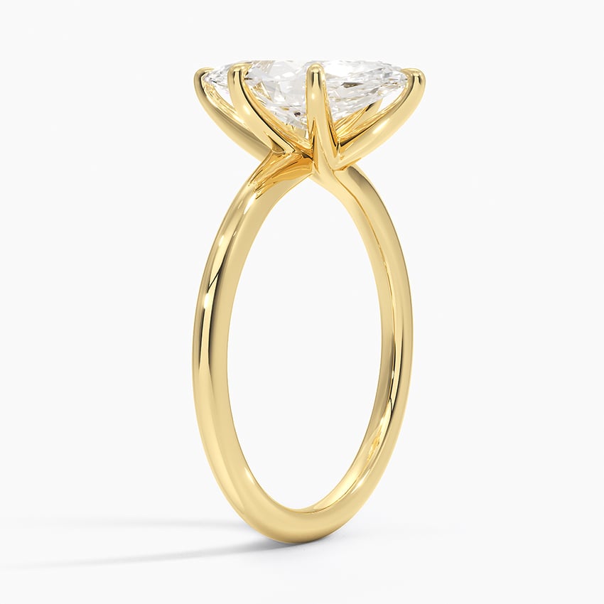 Monsella Solitaire Ring - Brilliant Earth