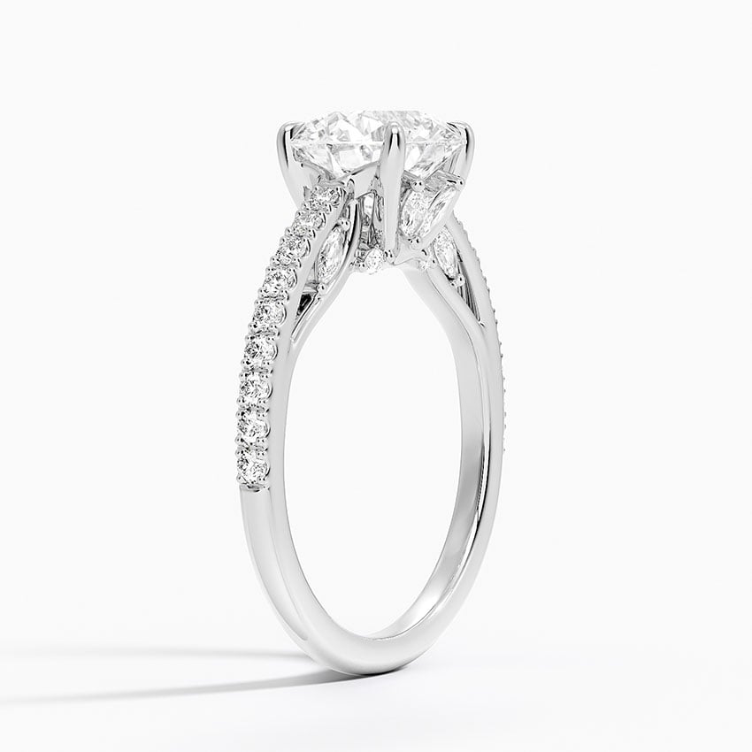 Platinum Secret Garden Adorned Gallery Diamond Ring (1/2 ct. tw.)