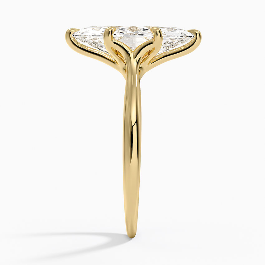 Freesia Cathedral Solitaire Engagement Ring in 18K Yellow Gold