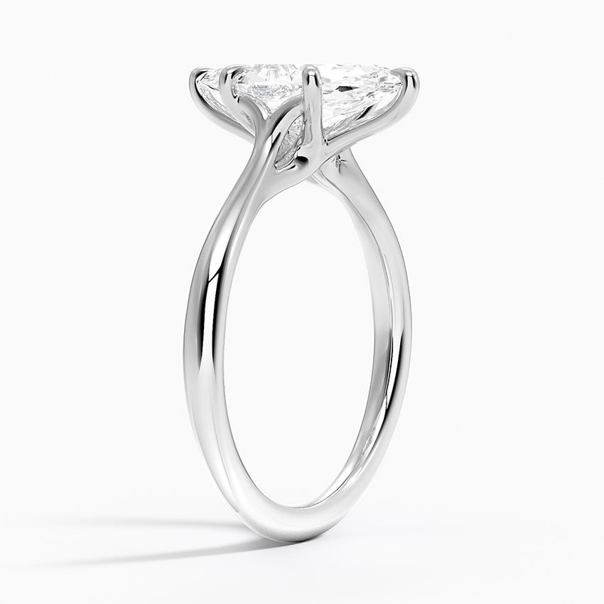 Platinum Freesia Cathedral Solitaire Ring