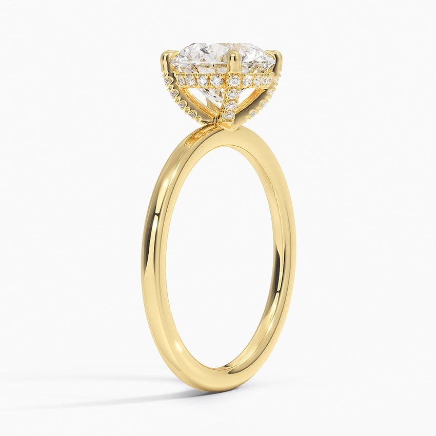 Surprise Diamond Engagement Ring Setting