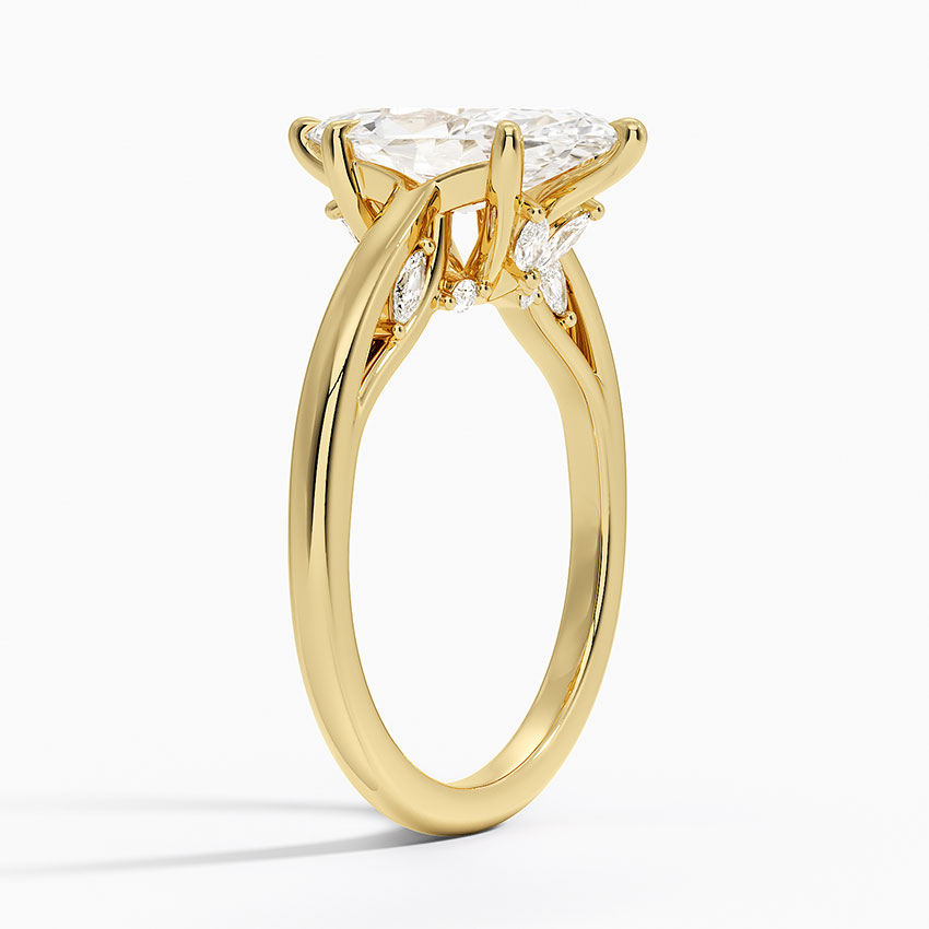 18K Yellow Gold Secret Garden Adorned Gallery Solitaire Ring (1/3 ct. tw.)