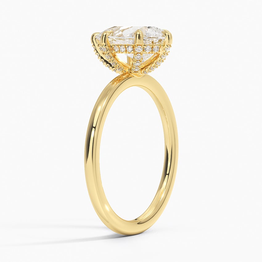 Surprise Diamond Engagement Ring Setting