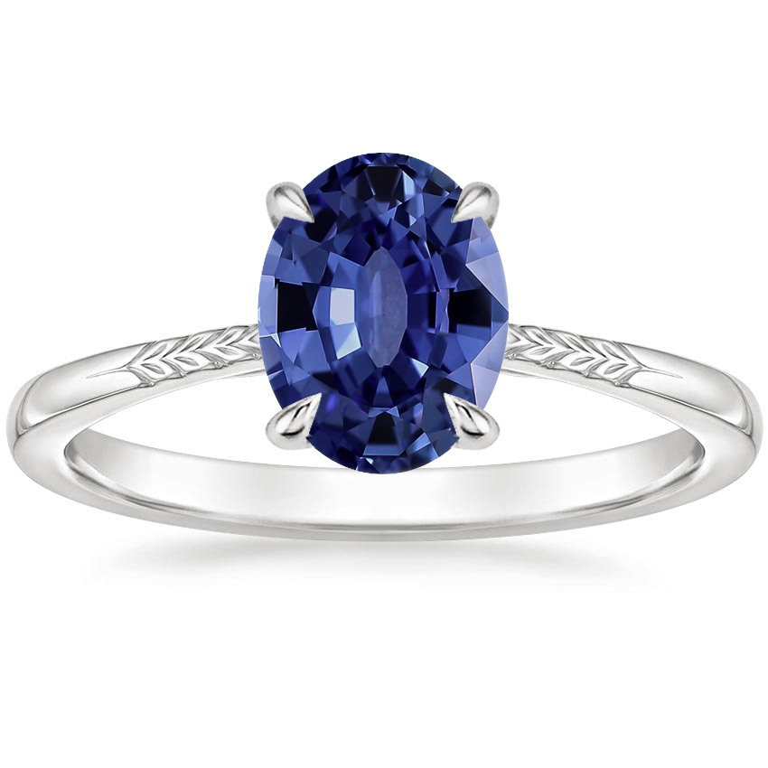 Sapphire Laurel Ring in Platinum