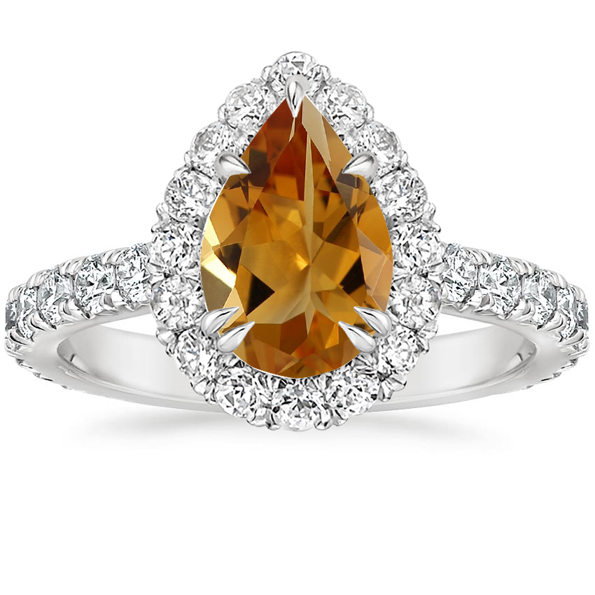 Platinum Sienna Halo Three-Quarter Coverage Diamond Ring (3/4 ct. tw.), large top view