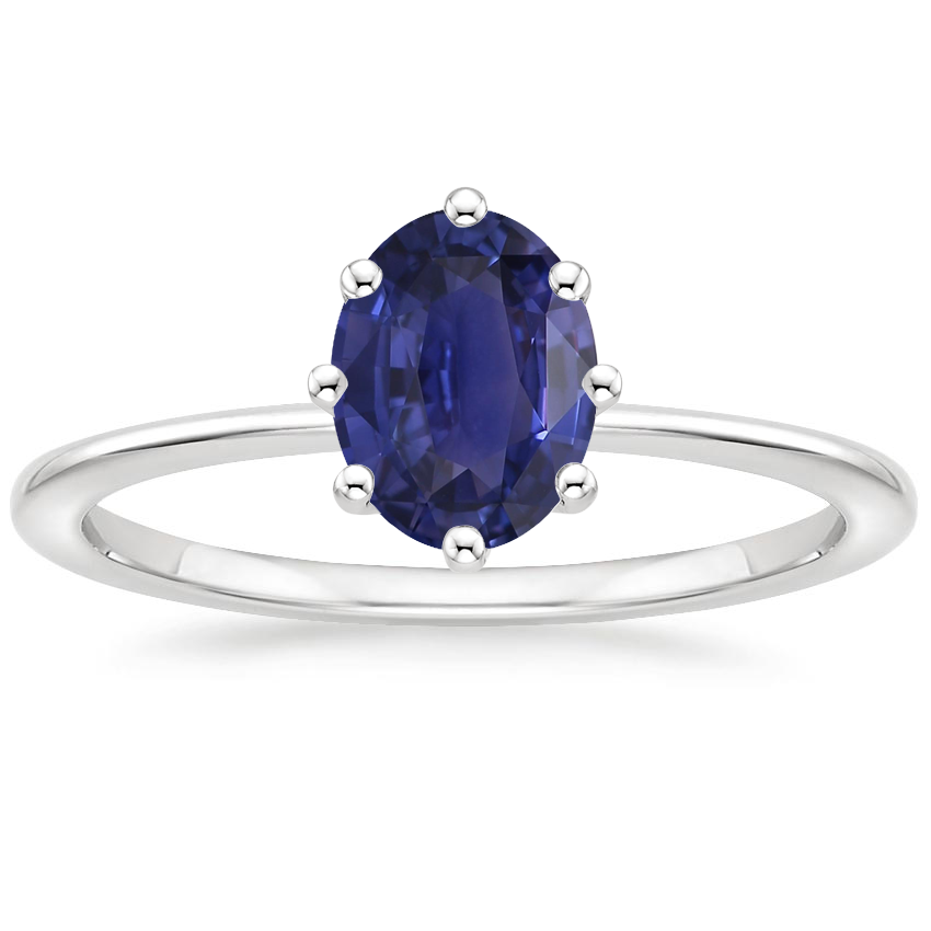 18K White Gold Petite Elodie Eight-Prong Solitaire Ring, large top view