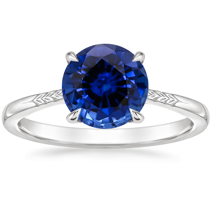Lab Grown Sapphire Laurel Engraved Ring in 18K White Gold