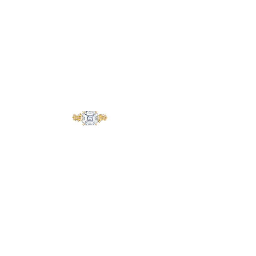 Ring on Hand