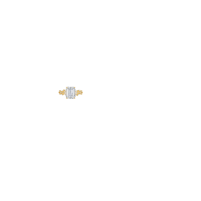 Ring on Hand