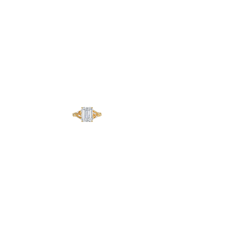 Ring on Hand
