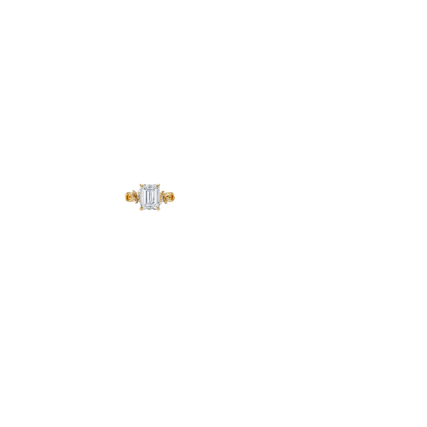 Ring on Hand