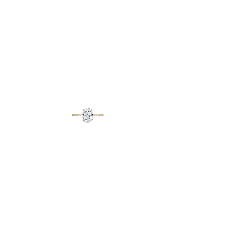 Ring on Hand