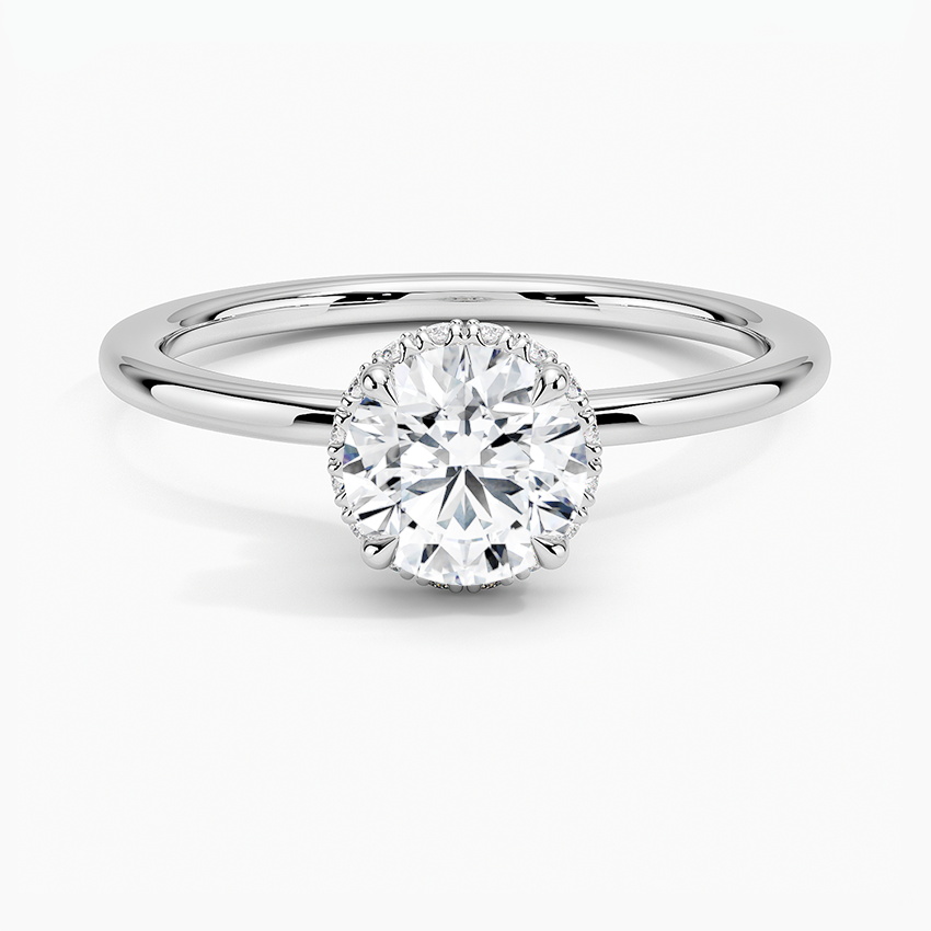 Waverly Halo Diamond Ring - Brilliant Earth