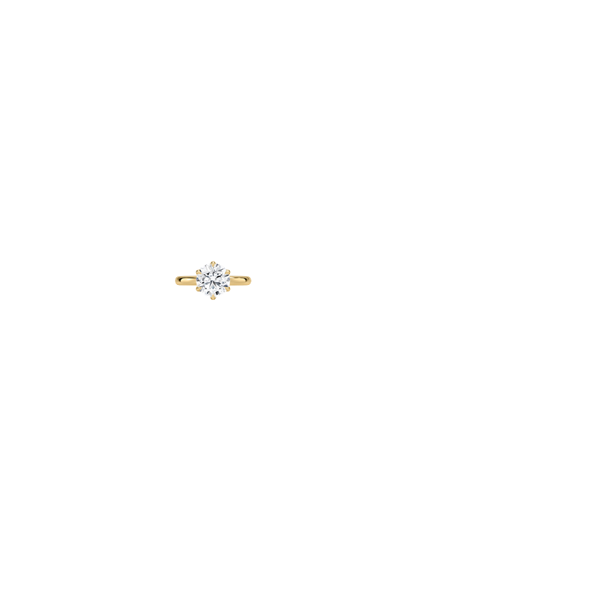Ring on Hand