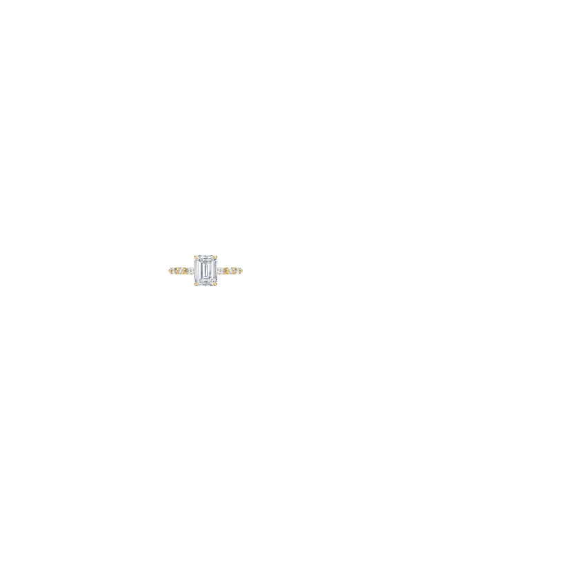 Ring on Hand