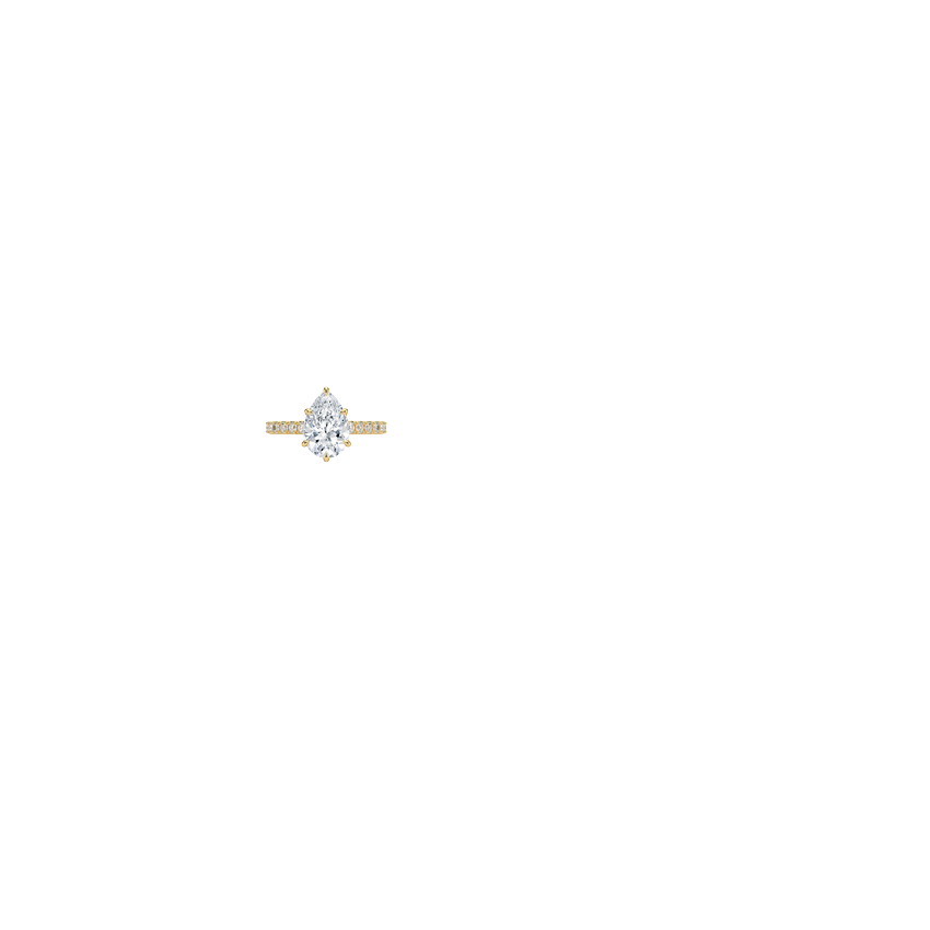 Ring on Hand