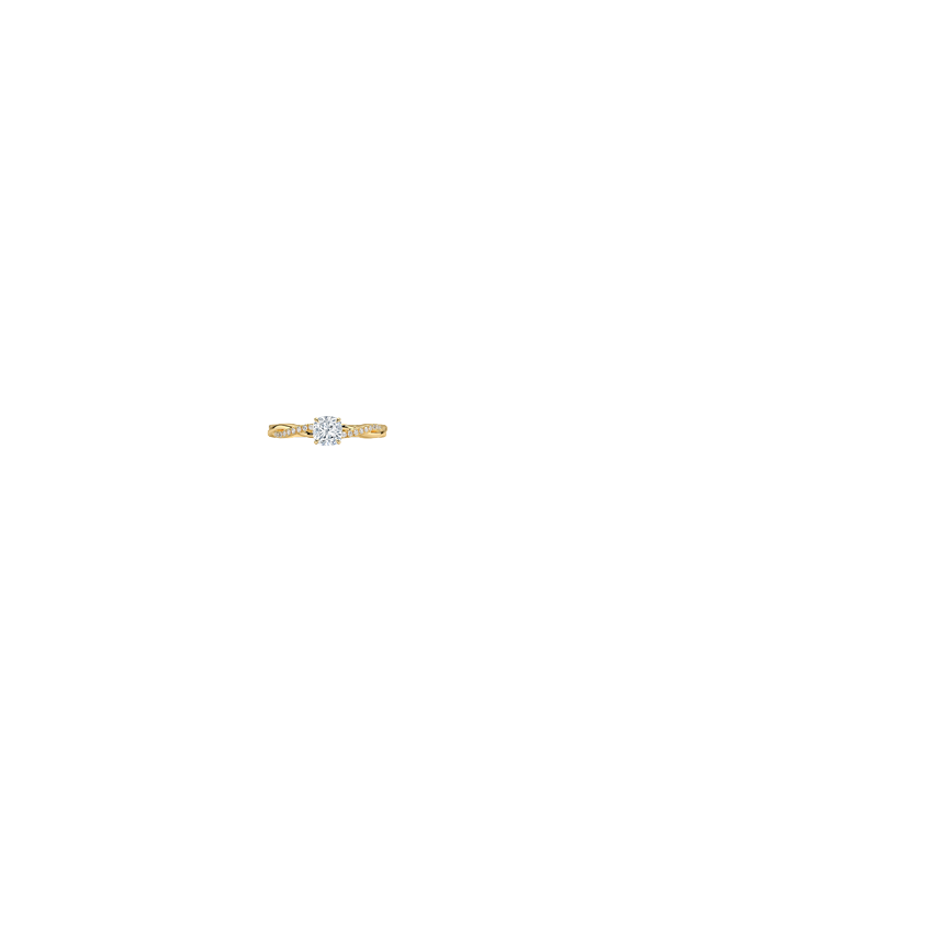 Ring on Hand