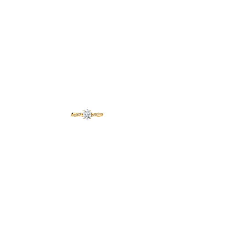 Ring on Hand