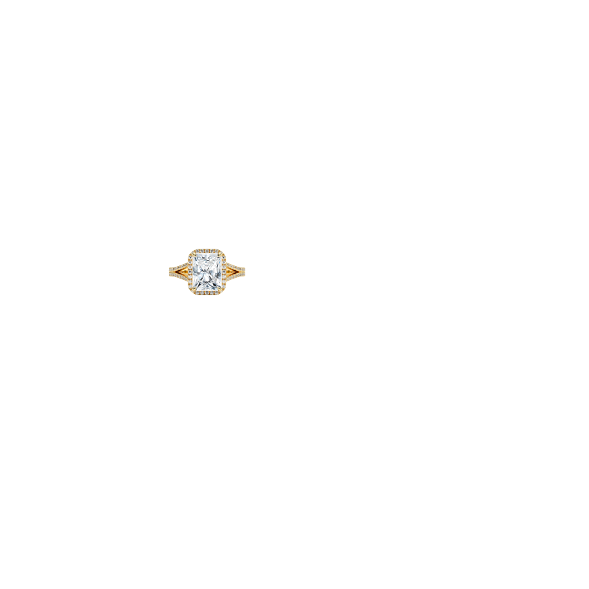 Ring on Hand