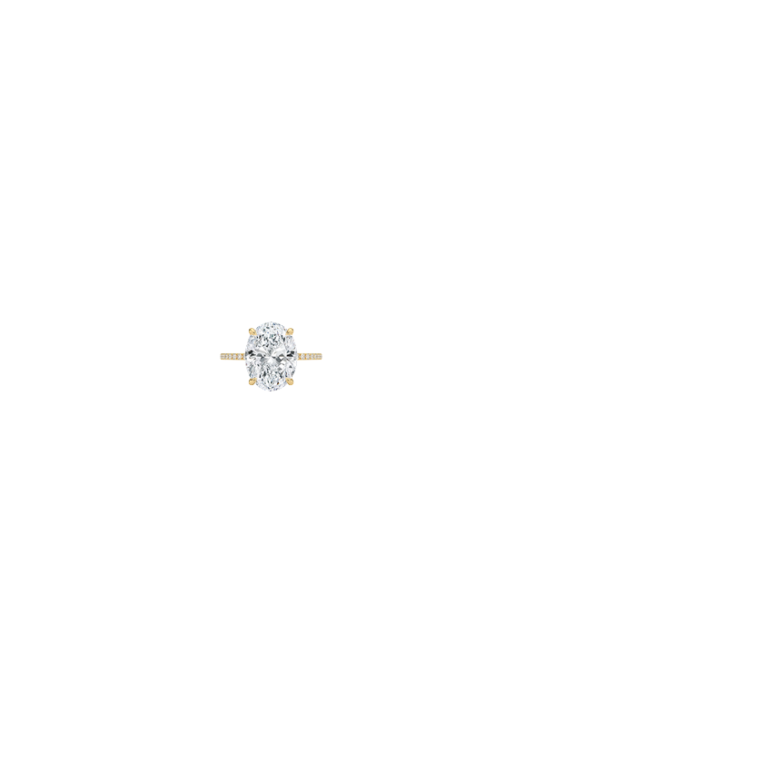 Ring on Hand