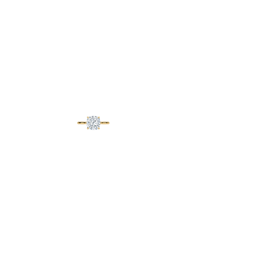 Ring on Hand
