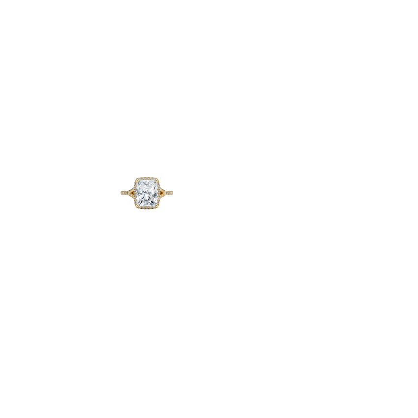 Ring on Hand
