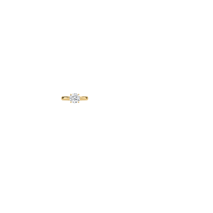Ring on Hand