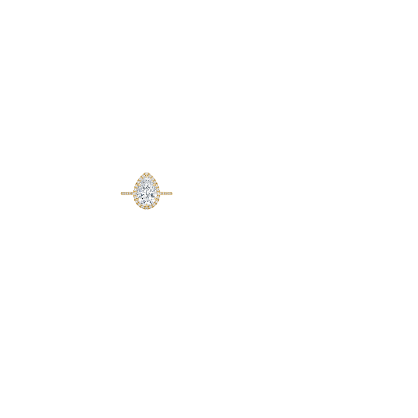 Ring on Hand